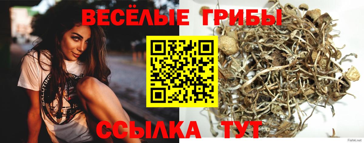 Еманжелинск  Галлюциногенные грибы прущие грибы  Вход с VPN 